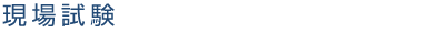 現場試験